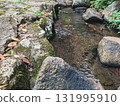 Clear water flowing through the forest 131995910