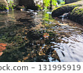 A clear stream surrounded by greenery 131995919