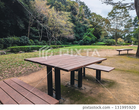 Tables and chairs in the autumn forest park 131995920