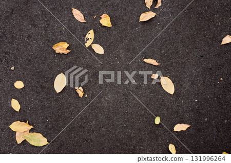 黃色的落葉散落在瀝青上 都市背景材料 131996264