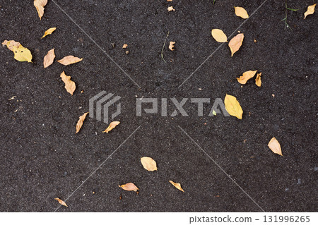 黃色的落葉散落在瀝青上 都市背景材料 131996265