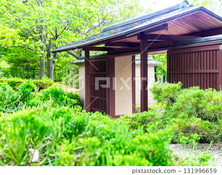 A beautiful and picturesque garden with fresh greenery 131996659