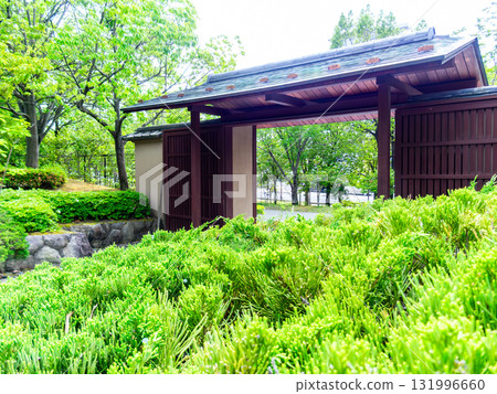 風景如畫、綠樹成蔭的美麗花園 131996660