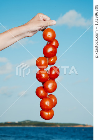 a man holds Spanish tomates de colgar by the sea a man holds Spanish tomates de colgar by the sea 131996809