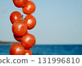 Spanish tomates de colgar seen close at the sea 131996810
