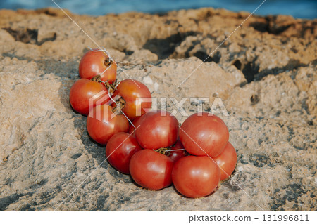 Spanish tomates de colgar on coastal rocks 131996811