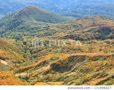 栗駒山秋葉的鳥瞰圖 131996827