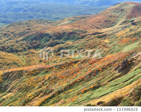 栗駒山秋葉的鳥瞰圖 131996828