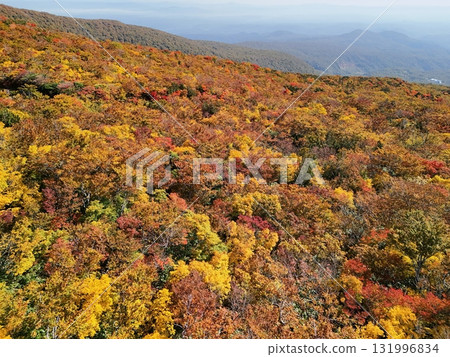 栗駒山秋葉的鳥瞰圖 131996834