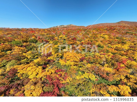 Autumn leaves of Mt. Kurikoma aerial view 131996835