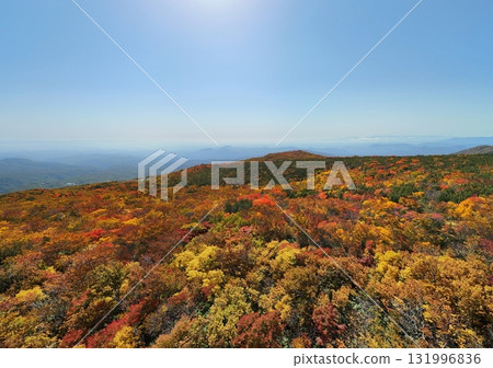 Autumn leaves of Mt. Kurikoma aerial view 131996836