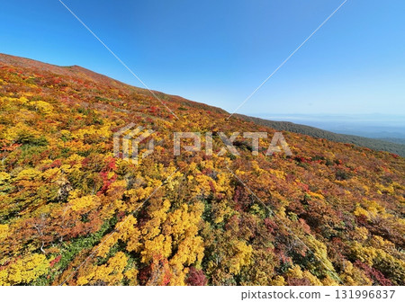 Autumn leaves of Mt. Kurikoma aerial view 131996837