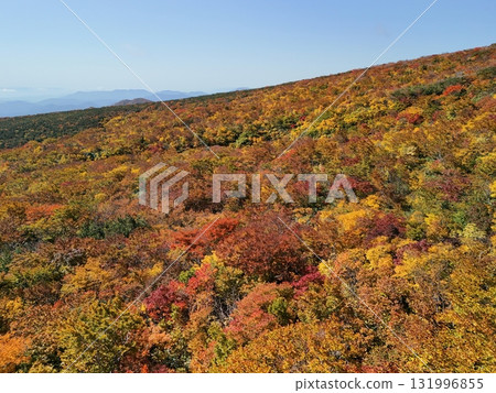 Autumn leaves of Mt. Kurikoma aerial view Autumn leaves of Mt. Kurikoma aerial view 131996855