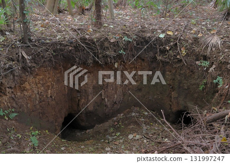 猿貝丘的秋天、猿貝山貝丘（埼玉縣川口市） 131997247