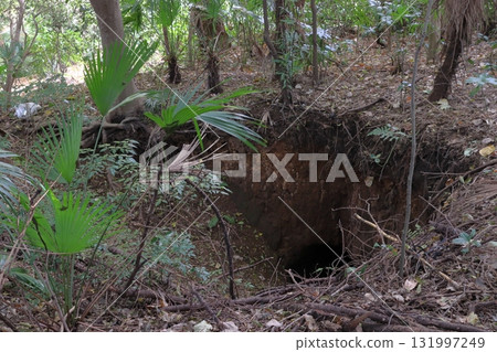 Autumn at Sarugai Shell Mound / Sarugaiyama Shell Mound (Kawaguchi City, Saitama Prefecture) Autumn at Sarugai Shell Mound / Sarugaiyama Shell Mound (Kawaguchi City, Saitama Prefecture) 131997249