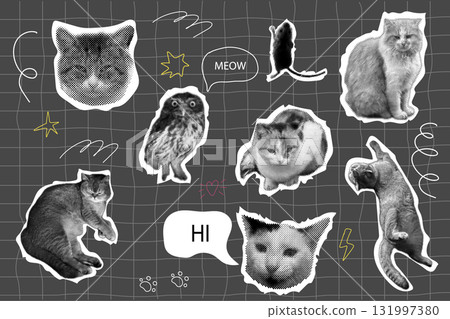 Cat halftone collage sticker set with doodle elements, trendy retro y2k pet, funky emoticon animal, pop aesthetic. Meme head with speech bubble. Funny kitty. 131997380