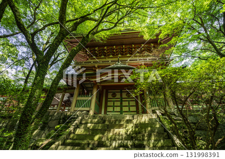 大分縣大分市高原八幡宮塔門 大分縣大分市高原八幡宮塔門 131998391