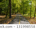 Asphalt bike and pedestrian path through green park with benches and autumn leaves, shared trail for walking and cycling. 131998558