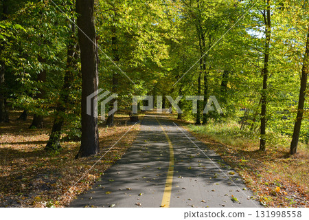 Asphalt bike and pedestrian path through green park with benches and autumn leaves, shared trail for walking and cycling. Asphalt bike and pedestrian path through green park with benches and autumn leaves, shared trail for walking and cycling. 131998558