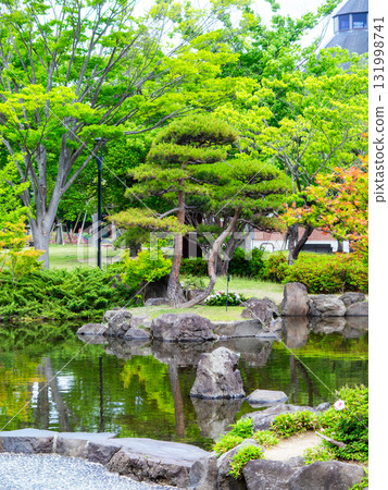 Fresh and beautiful scenery in the summer park 131998741