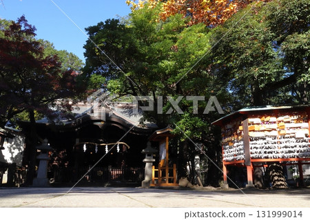 秋天的河口神社：拜殿（埼玉縣川口市） 131999014