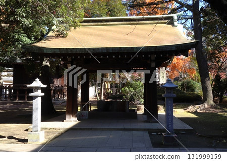 河口神社的秋天：長津夜社（埼玉縣川口市） 131999159