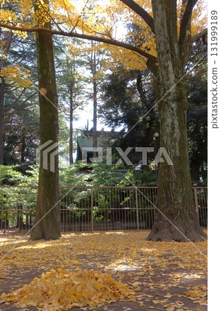 河口神社的秋天（埼玉縣川口市） 131999189