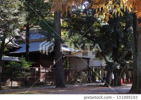 Autumn at Kawaguchi Shrine (Kawaguchi City, Saitama Prefecture) 131999193