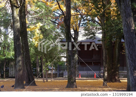 河口神社的秋天（埼玉縣川口市） 131999194