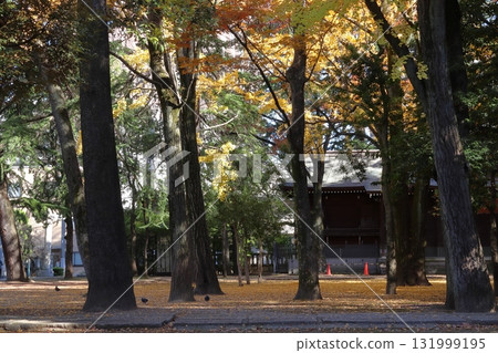 河口神社的秋天（埼玉縣川口市） 131999195