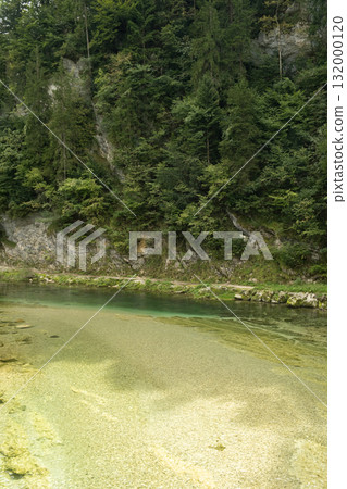 Beautiful Natural Background with Forest River in Summer 132000120