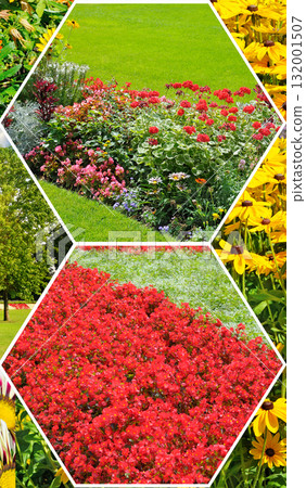 Collage of Vibrant Summer Flowers and Garden Landscaping in Hexagonal Frames 132001507