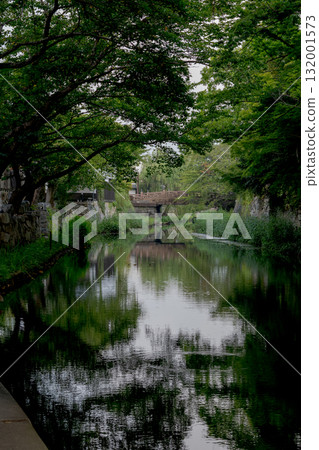 A waterway landscape: Hachimanbori in Omihachiman A waterway landscape: Hachimanbori in Omihachiman 132001573