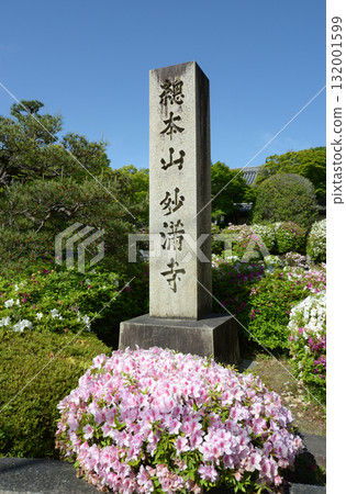 妙萬寺:京都市左京區岩倉幡田町參道入口處的杜鵑花和石碑 妙萬寺:京都市左京區岩倉幡田町參道入口處的杜鵑花和石碑 132001599