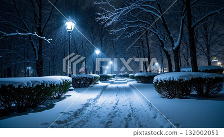 A Snow Covered Path In The Middle Of A Forest A Snow Covered Path In The Middle Of A Forest 132002051