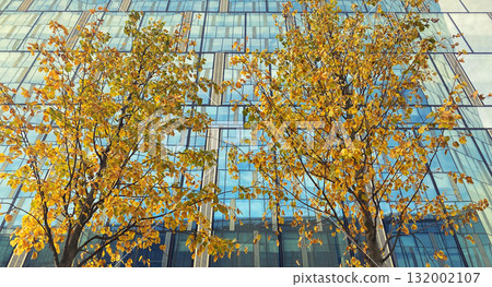 Office building. Glass skyscrapers in business center. Architecture, commercial real estate 132002107