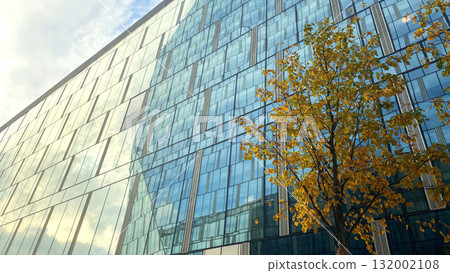 Office building. Glass skyscrapers in business center. Architecture, commercial real estate Office building. Glass skyscrapers in business center. Architecture, commercial real estate 132002108