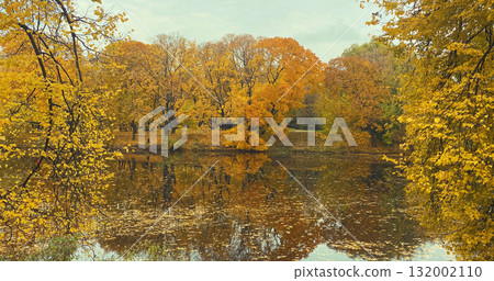 Beautiful autumn landscape, trees with yellow leaves and lake, nature background 132002110