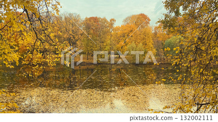Beautiful autumn landscape, trees with yellow leaves and lake, nature background 132002111