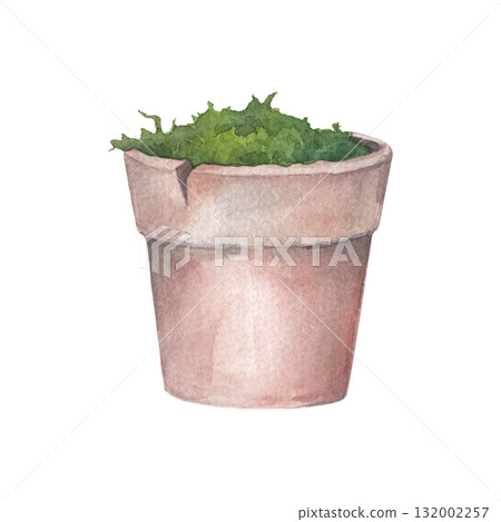Ceramic flower pot and moss. Hand drawn watercolor illustration isolated on a white background. Perfect for design on cards, invitations, tableware, textiles and for creating your own designs, pattern Ceramic flower pot and moss. Hand drawn watercolor illustration isolated on a white background. Perfect for design on cards, invitations, tableware, textiles and for creating your own designs, pattern 132002257