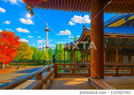 東本願寺和京都塔的秋葉 132002592