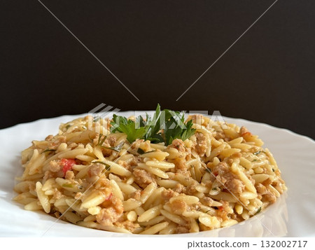 Orzo pasta dish with ground meat and tomato sauce. Plate of orzo pasta with meat sauce. Orzo pasta dish with ground meat and tomato sauce. Plate of orzo pasta with meat sauce. 132002717