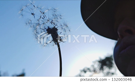 Dandelion against sky. A child blows on a dandelion. Silhouette to child boy blowing on ripened dandelion in evening against background of sky Dandelion against sky. A child blows on a dandelion. Silhouette to child boy blowing on ripened dandelion in evening against background of sky 132003046