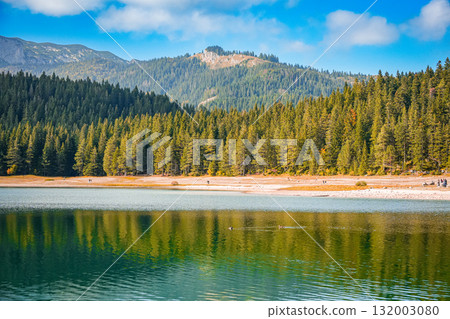 Calm Black Lake in Durmitor National Park, Montenegro, reflecting surrounding forest and mountains. Peaceful natural landscape. 132003080