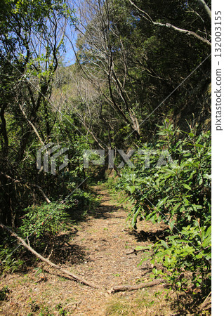 愛媛郡愛南町由良岬燈塔及通往由良岬皇居遺址的道路 愛媛郡愛南町由良岬燈塔及通往由良岬皇居遺址的道路 132003155