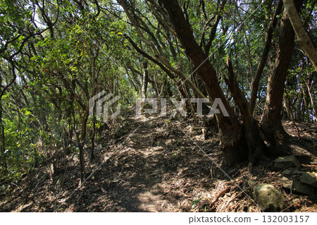 愛媛郡愛南町由良岬燈塔及通往由良岬皇居遺址的道路 132003157