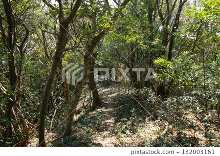 Ainan Town, Ehime Prefecture Yura Cape Lighthouse and the road to the ruins of the Yura Cape Imperial Palace 132003161