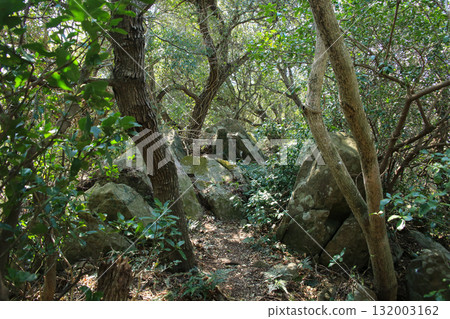 Ainan Town, Ehime Prefecture Yura Cape Lighthouse and the road to the ruins of the Yura Cape Imperial Palace 132003162