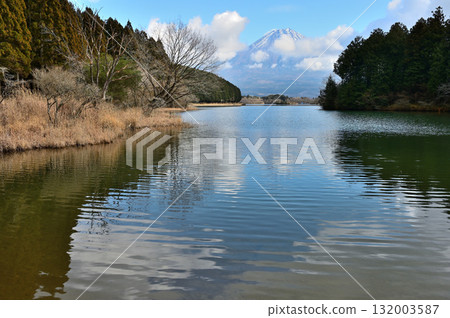 Mount Fuji in winter as seen from Lake Tanuki, Fujinomiya City, Shizuoka Prefecture Mount Fuji in winter as seen from Lake Tanuki, Fujinomiya City, Shizuoka Prefecture 132003587