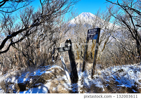 Mount Echizen in the Aitaka mountain range: Mount Fuji seen from the snow-capped Sekotsuji junction 132003611